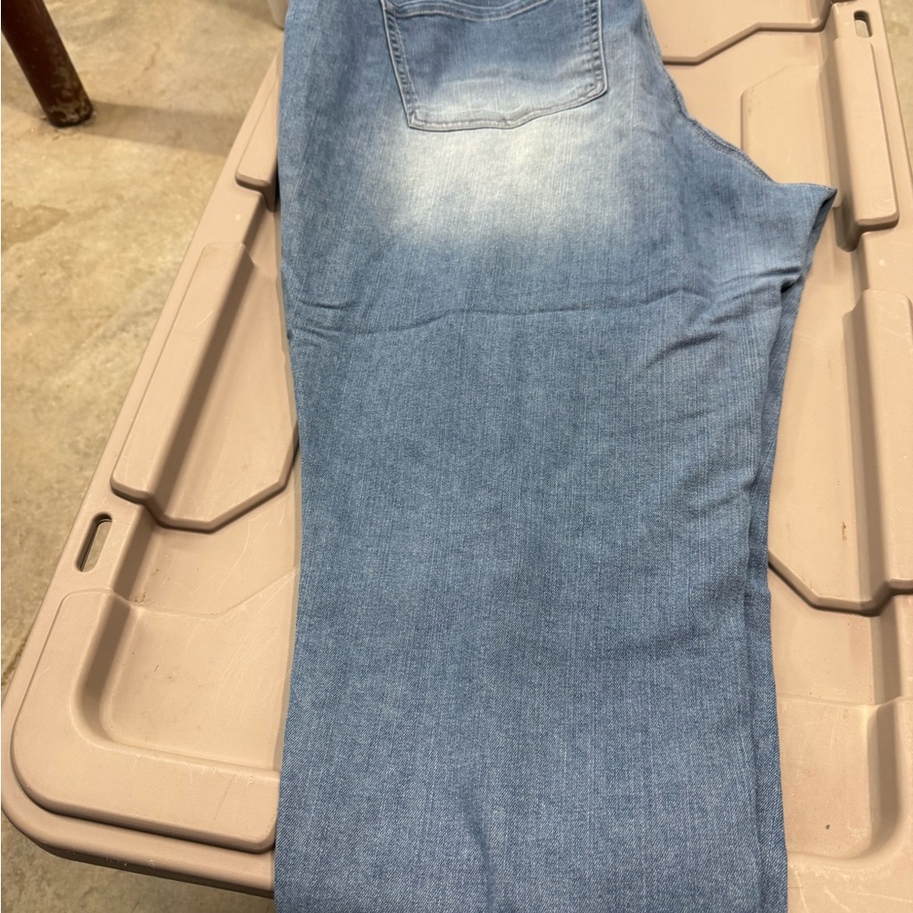 Lane Bryant Light Blue Denim Pants
